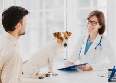 Business consultants in the veterinary industry: What do they do, how many types are there, and how much do they cost?
