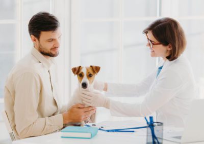 Starting your own vet practice: five key questions to ask yourself before you take the plunge